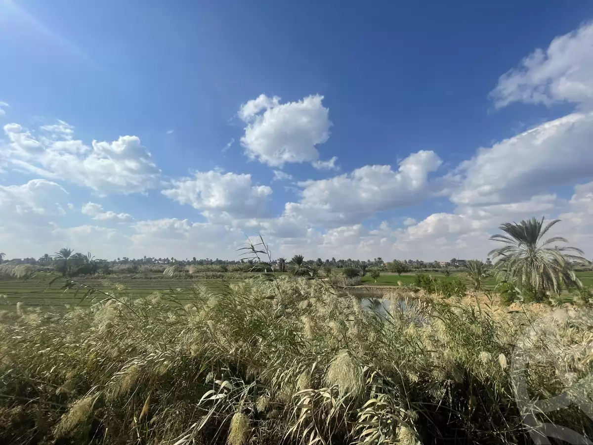 ارض زراعية 12600م للبيع - الفيوم - يوسف الصديق - موقع دار