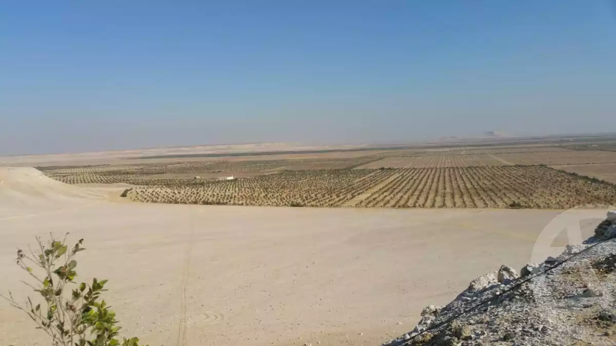 ارض زراعية 42000م للبيع - المنيا - سمالوط- موقع دار