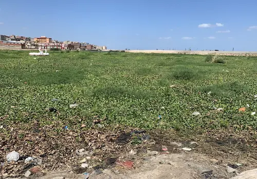 قرى-مركز-المنزلة