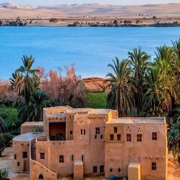 سيوة مطروح